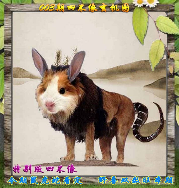 003期四不像特别版[图]